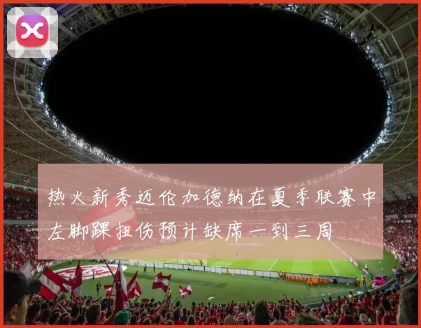 热火新秀迈伦加德纳在夏季联赛中左脚踝扭伤预计缺席一到三周