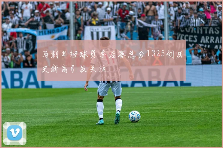 马刺年轻球员季后赛总分1325创历史新高引发关注