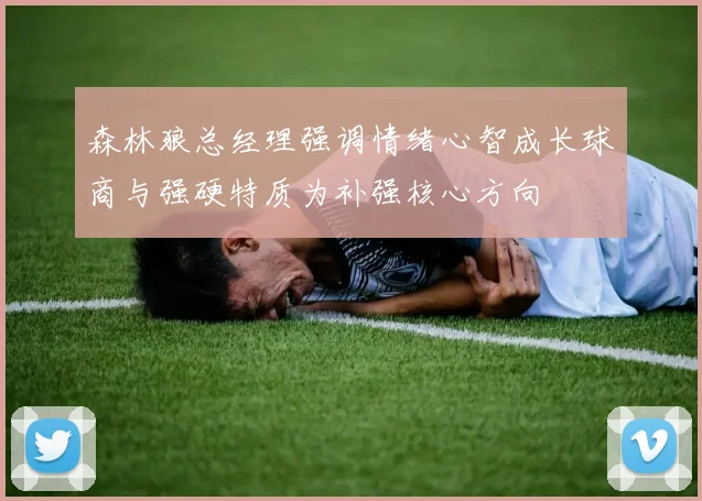 森林狼总经理强调情绪心智成长球商与强硬特质为补强核心方向