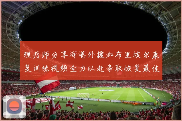 理疗师分享海港外援加布里埃尔康复训练视频全力以赴争取恢复最佳状态